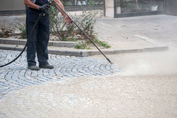 Best Boat and Dock Cleaning  in Agler Estates, FL